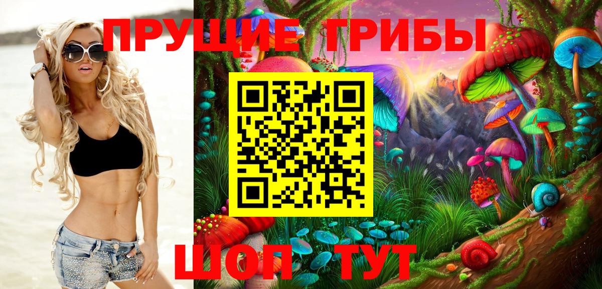 Псилоцибиновые грибы GOLDEN TEACHER  Псилоцибиновые грибы MAGIC MUSHROOMS  Мурино  Вход с VPN 