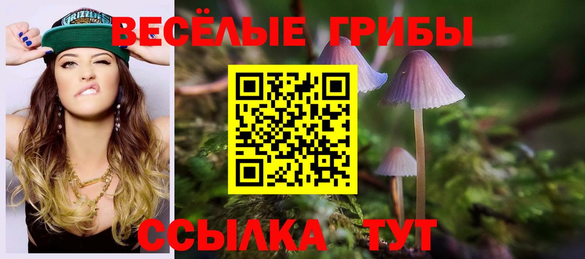 Галлюциногенные грибы ЛСД Мурино